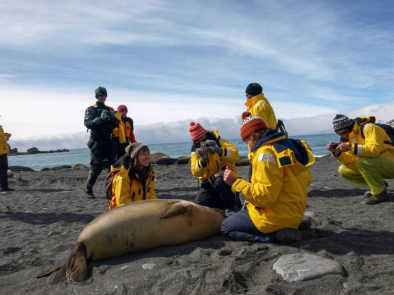 Interagindo com um pequeno elefante-marinho na praia de Gold Harbour, na Geórgia do Sul